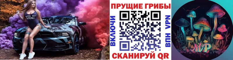 как найти наркотики  Спасск-Рязанский  Псилоцибиновые грибы ЛСД 